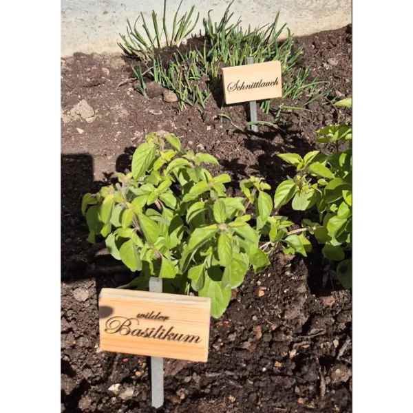 Plant tags